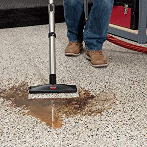 Bissell Nettoyeur Multiclean Wet & Dry Drum