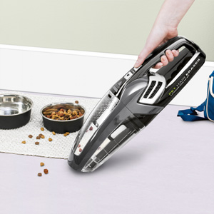 BISSELL Pet Hair Eraser