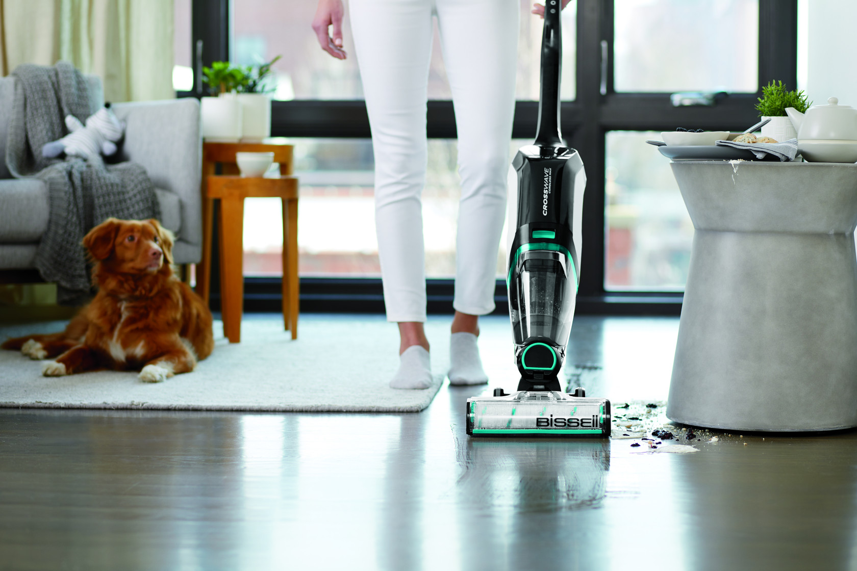 Aspirateur à eau : notre comparatif de la gamme CrossWave