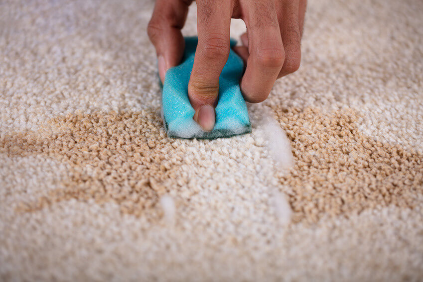 Nettoyage tapis : Les produits les plus efficaces pour nettoyer un tapis